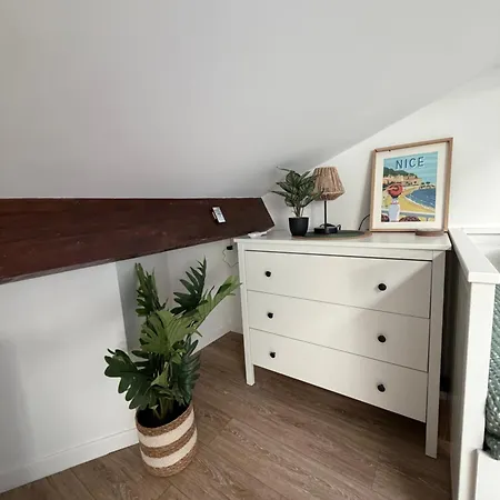 Le Petit Nid Sous Le Toit