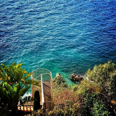 Le Petit Nid Sous Le Toit Appartement Nice