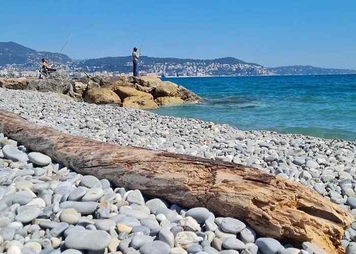 Le Petit Nid Sous Le Toit Appartement *