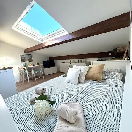 Apartment Le Petit Nid Sous Le Toit Nizza