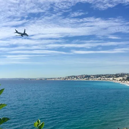 Le Petit Nid Sous Le Toit نيس