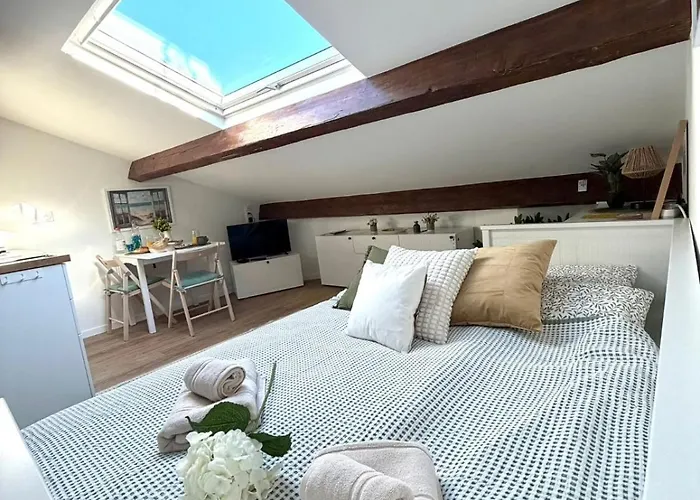 Апартаменты Le Petit Nid Sous Le Toit Ницца