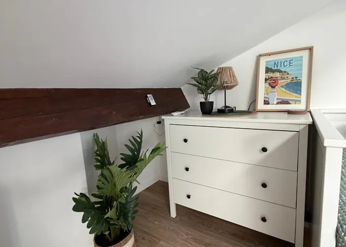 Le Petit Nid Sous Le Toit