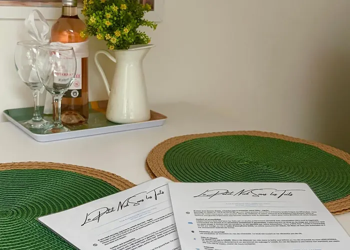 Apartment Le Petit Nid Sous Le Toit Nizza